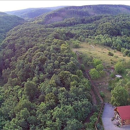 Творча Садиба Svaliava Buitenkant foto