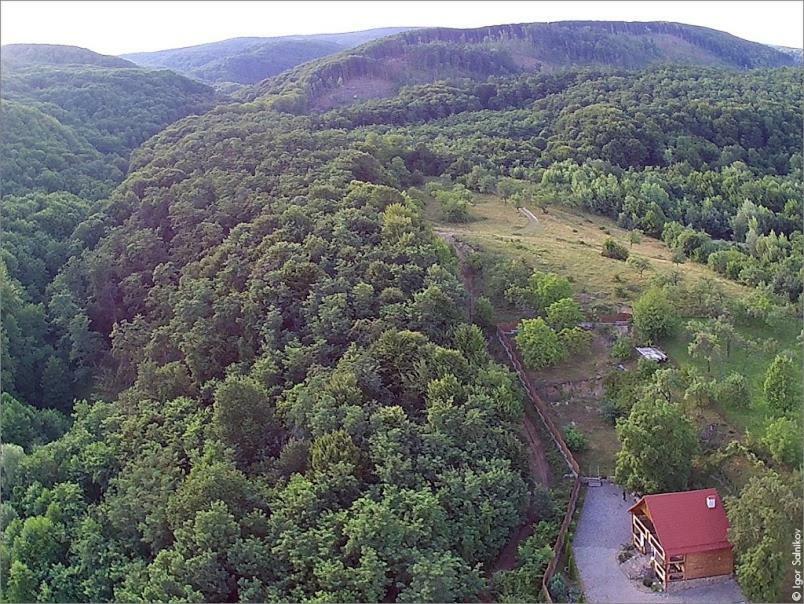 Творча Садиба Svaliava Buitenkant foto